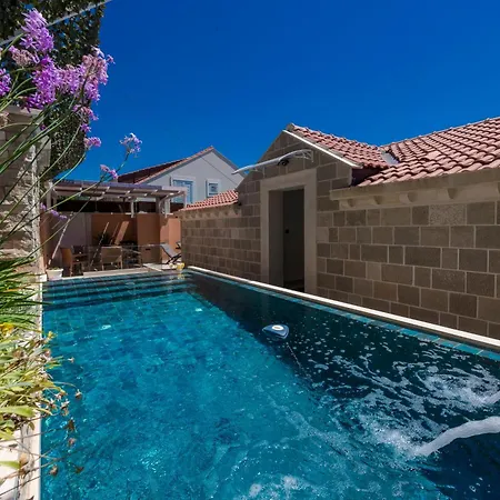 فيلة Dommy Gabby *